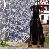 Dobergaarden_Forever_Una04