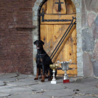 Dobergaarden_Forever_Una06