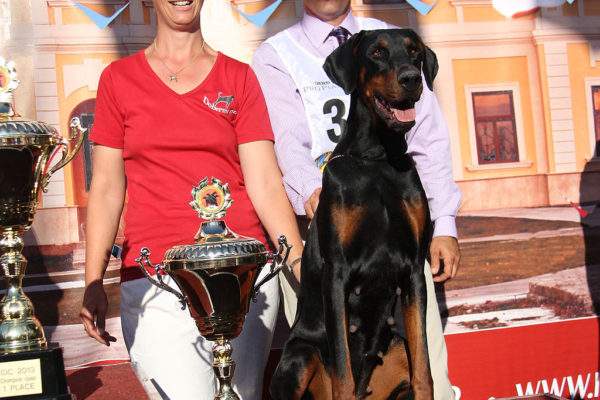 Dobergaarden_Forever_Cika05
