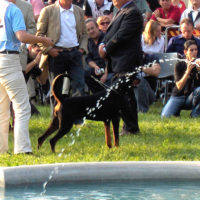 Dobergaarden_Forever_Lucky08