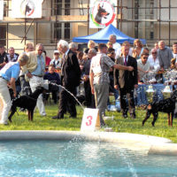 Dobergaarden_Forever_Lucky09