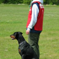 Dobergaarden_Forever_Lucky15
