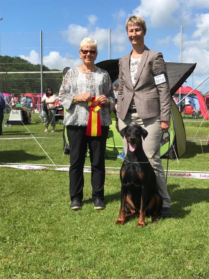 CACIB Danish Kennel Club, Vejen