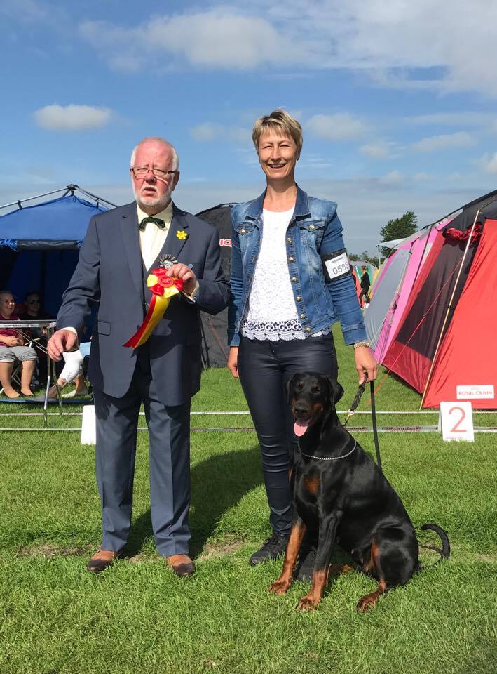 CACIB Danish Kennel Club, Vejen, day 2