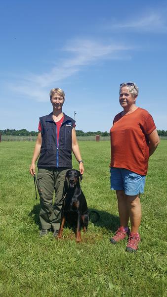 Dobergaarden Forever Una passed IPO1