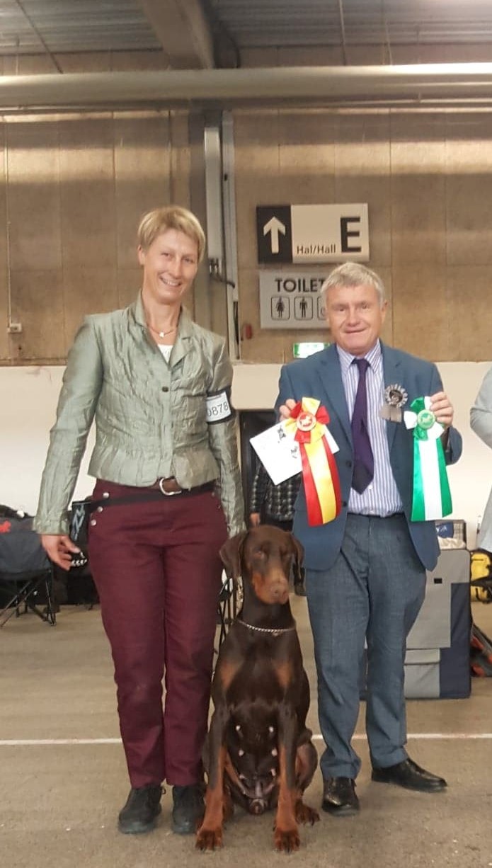 Dansk Kennel Klub 04.11.2018