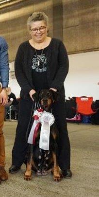 Dansk Kennel Klub 04.11.2018