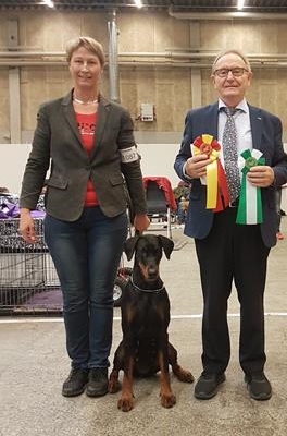 Great results from Herning International Dogshow