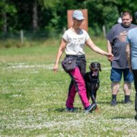 FB_IMG_1750621632380