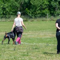 FB_IMG_1750621641266