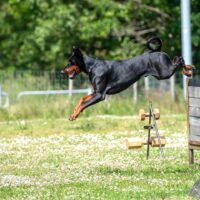 FB_IMG_1750621696810
