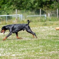 FB_IMG_1750621706871