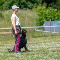 FB_IMG_1750621711033