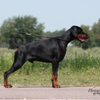 Tahi-Réme X-Boy 2025