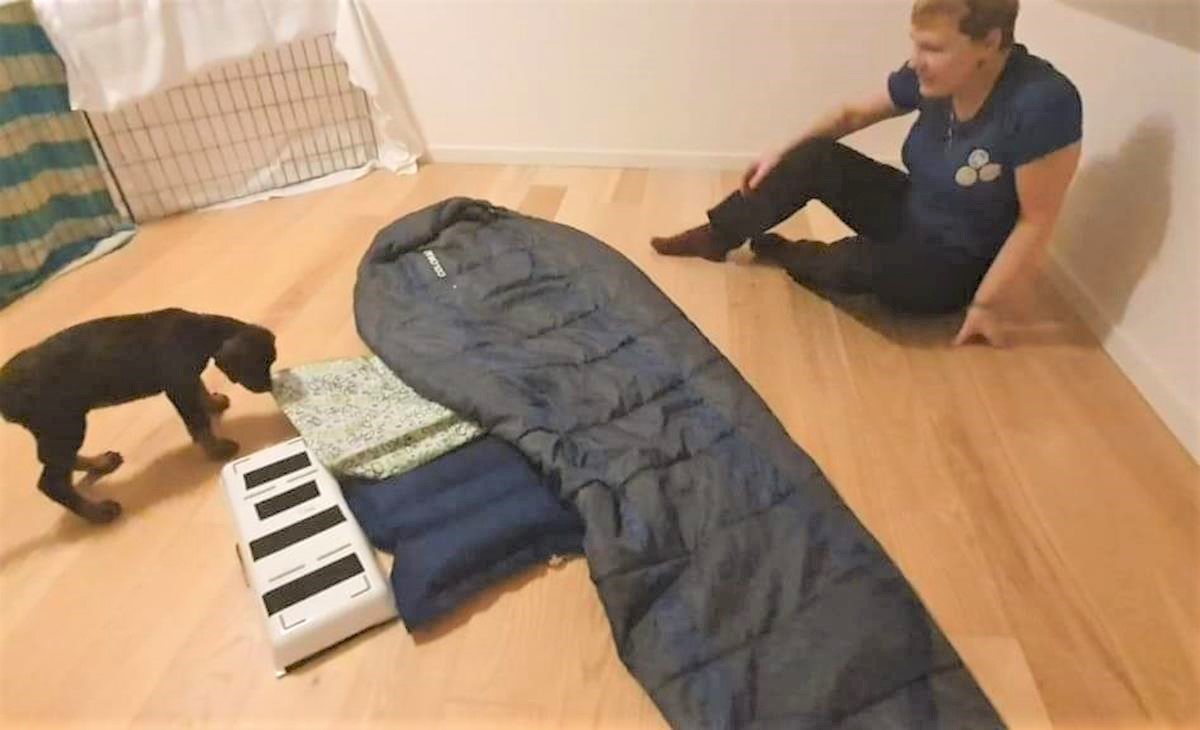 Puppy test of P-Litter