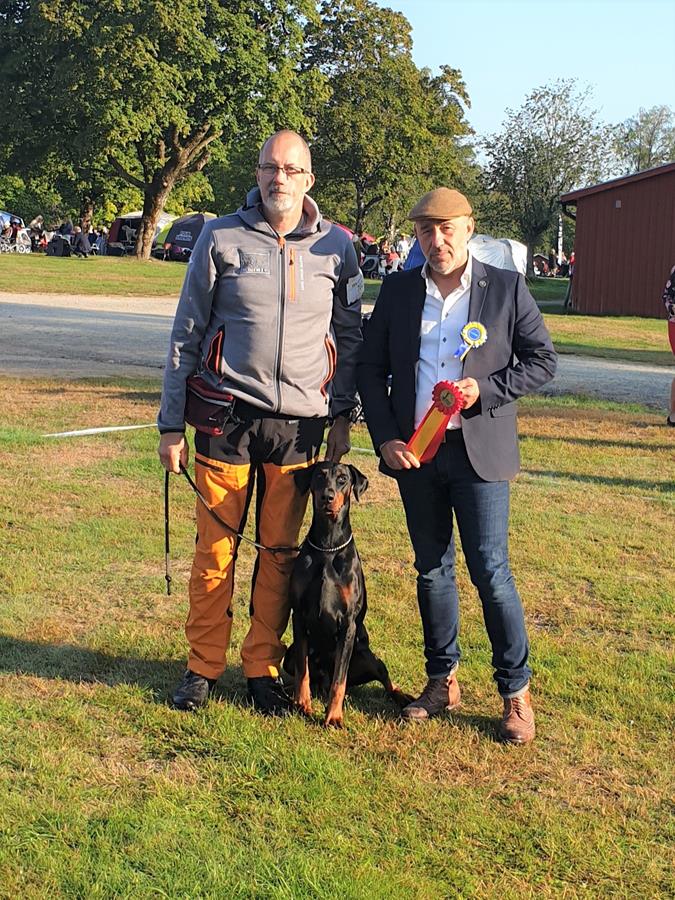 Second day of West Coast CACIB Dog Show in Sweden