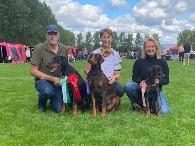 DKK international dog show in Ballerup