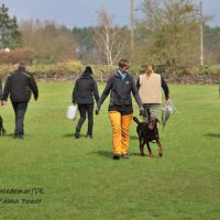IMG_8078a