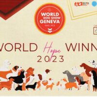 wds.5