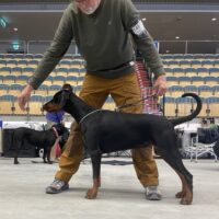 IMG_20240609_142824