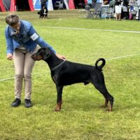 IMG_20240616_195650