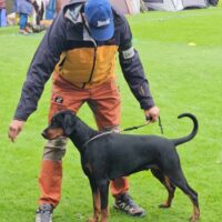 IMG_20240707_142703