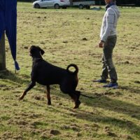 DSC09083