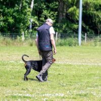 FB_IMG_1750621530109