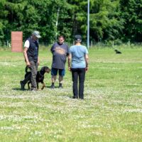 FB_IMG_1750621539125