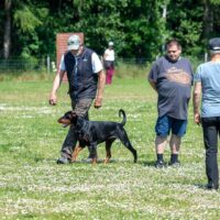 FB_IMG_1750621543813