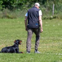 FB_IMG_1750621547678