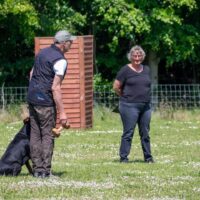 FB_IMG_1750621571906