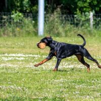 FB_IMG_1750621579239