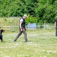 FB_IMG_1750621597441