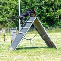 FB_IMG_1750621601646