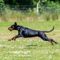 FB_IMG_1750621609484