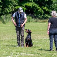 FB_IMG_1750621613493