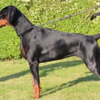 FB_IMG_1750738822532