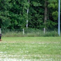 FB_IMG_1750773947605