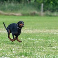 FB_IMG_1750773950928