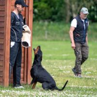 FB_IMG_1750773959039