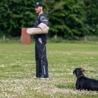 FB_IMG_1750773972658