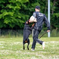 FB_IMG_1750773976003