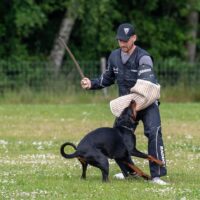 FB_IMG_1750773979891