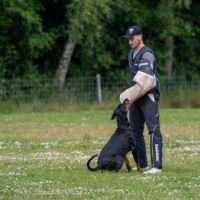 FB_IMG_1750773984508