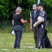 FB_IMG_1750773988502