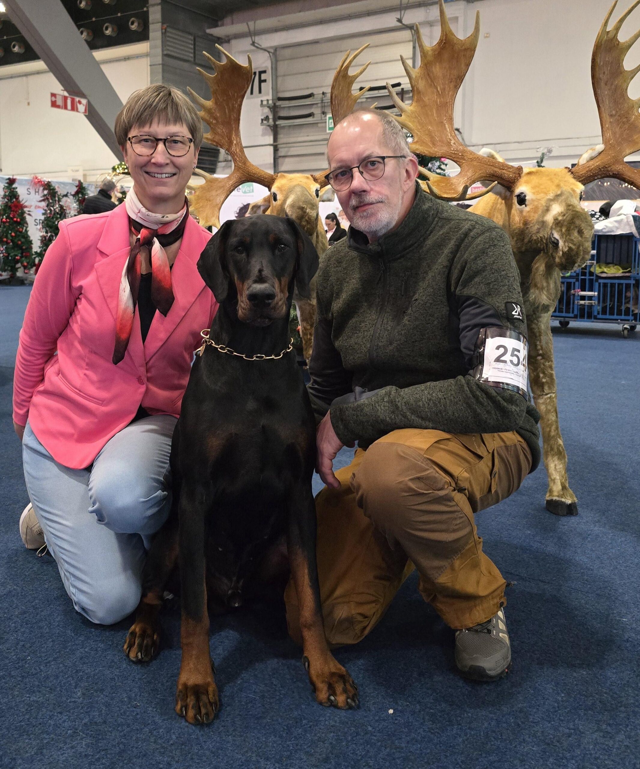 Grusholm went to Belgium for the biggest Dog Show of the year in Brussels 4 X show in two days