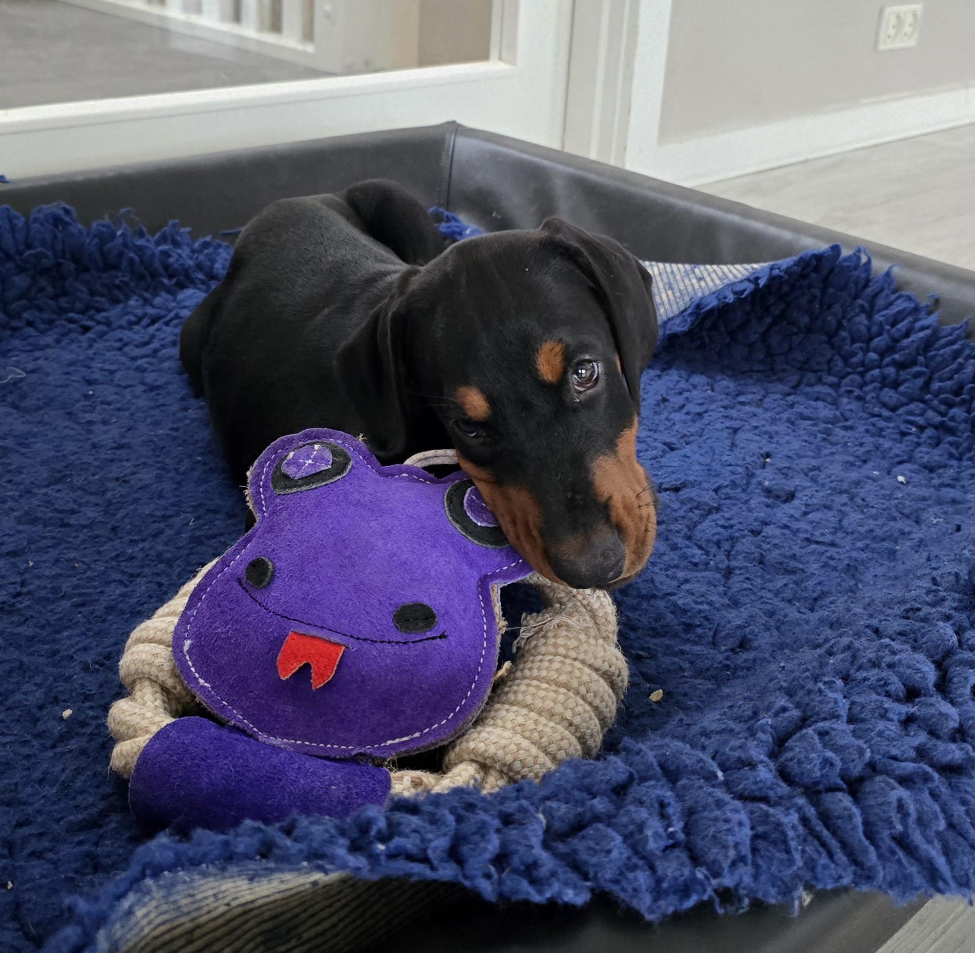 Grusholm entered 2025 with full speed, and yes we achieved everything as planned, despite all the challenges.