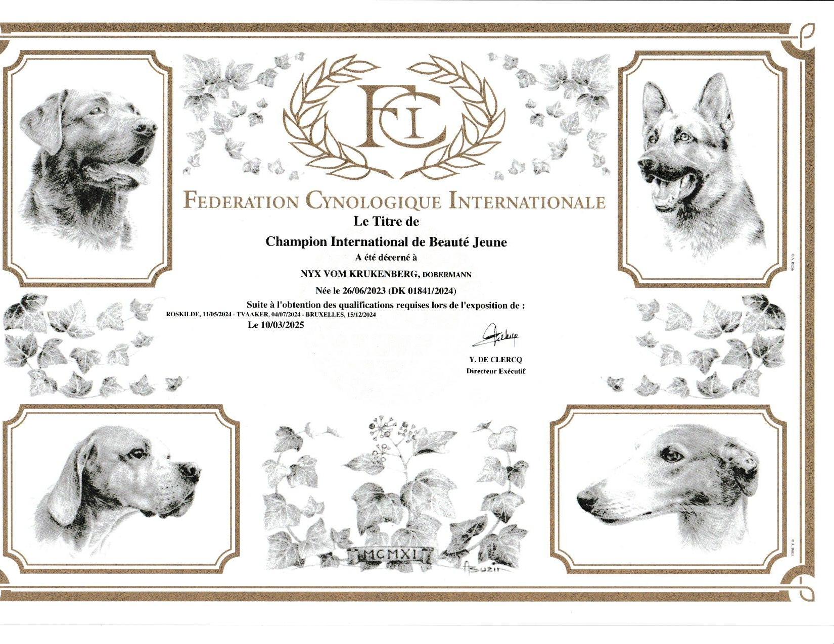 Nyx vom Krukenberg new international Junior Beauty Champion