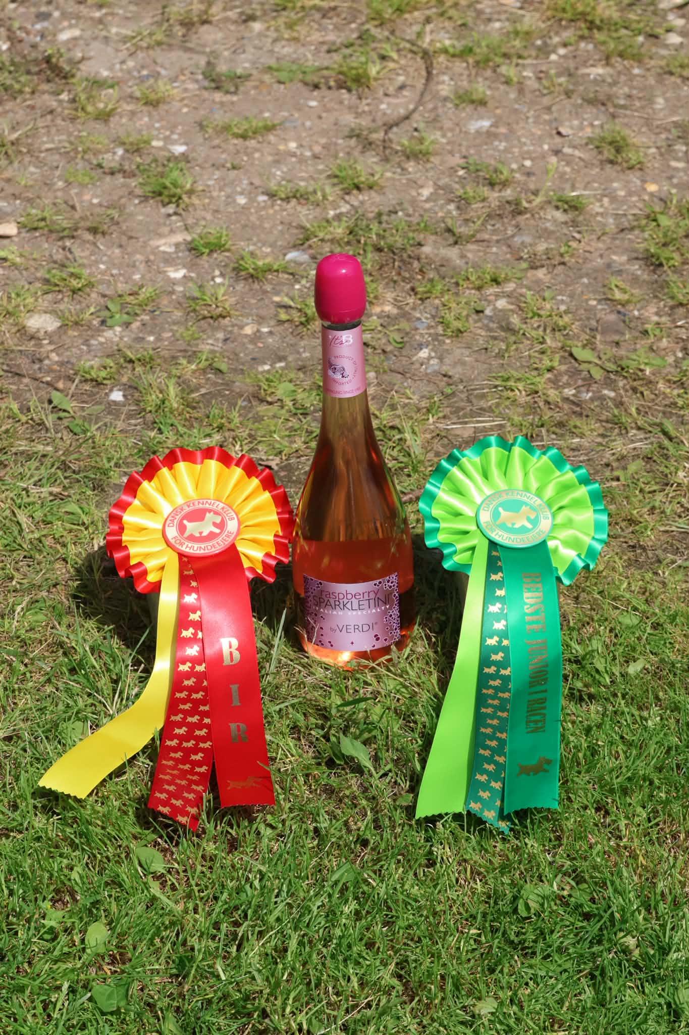 Fonda havde en fantastisk udstillingsweekend i Vejen